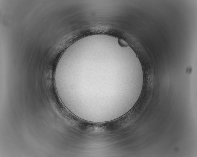 X0000113130498200909251243