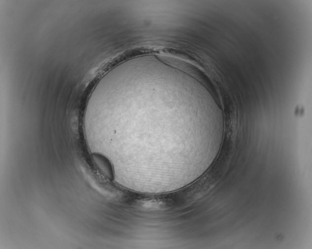 X0000113130500200909251243