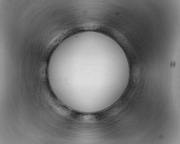 X0000113130501200909251243