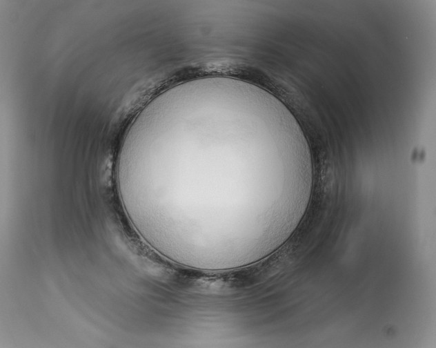 X0000113130502200909251243