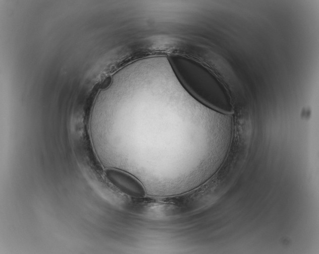 X0000113130504200909251243