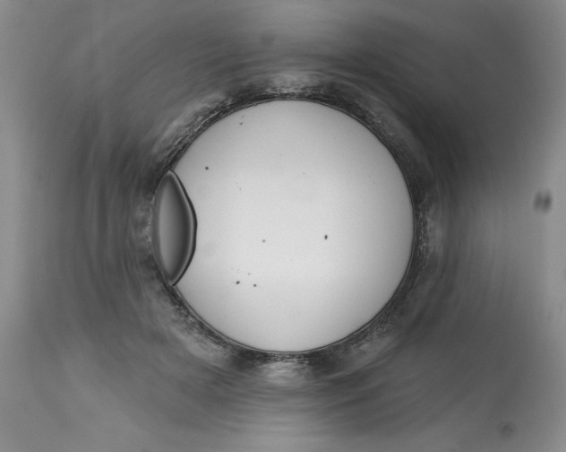 X0000113130505200909251243