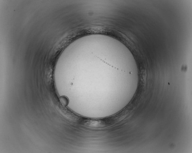 X0000113130507200909251243