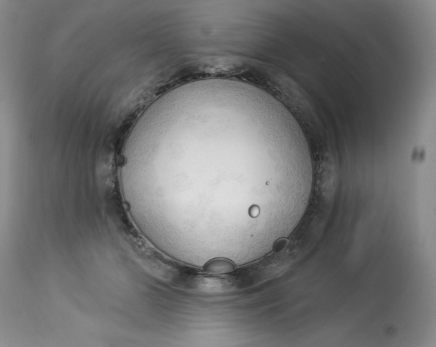 X0000113130510200909251243