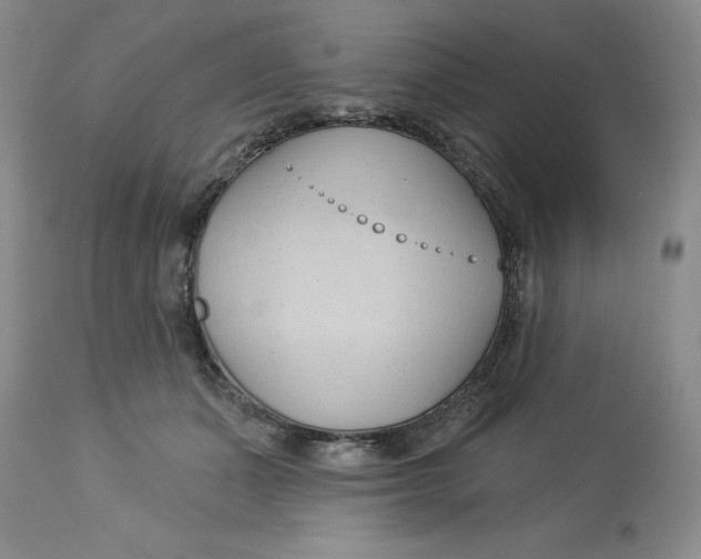 X0000113130511200909251243