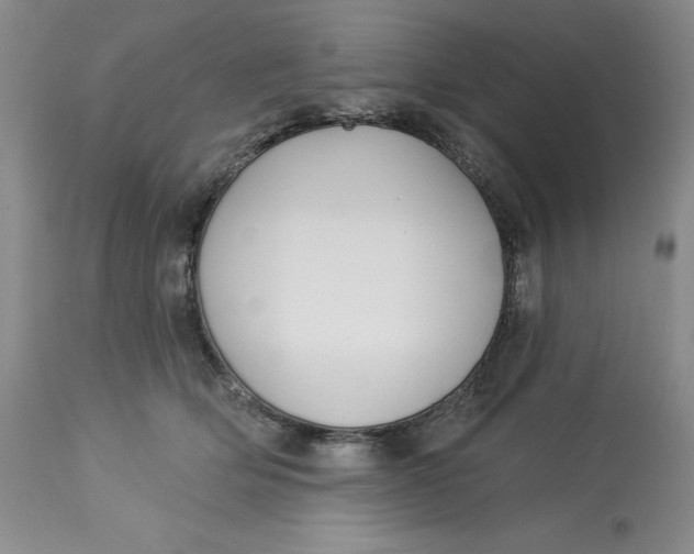 X0000113130514200909251243