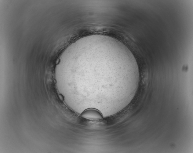 X0000113130515200909251243