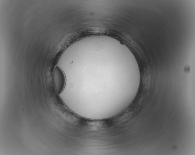 X0000113130516200909251243