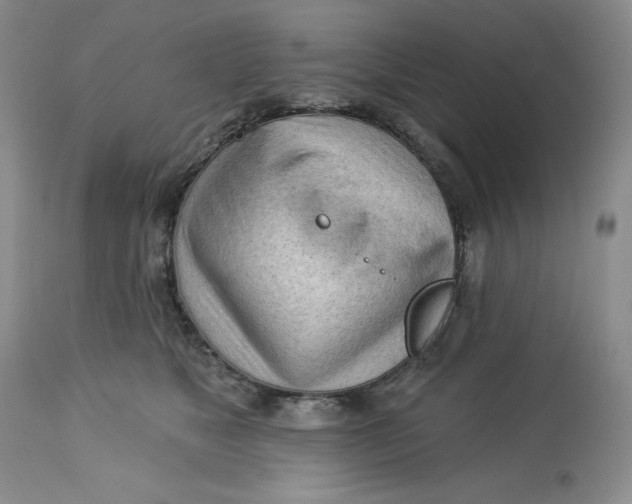 X0000113130517200909251243