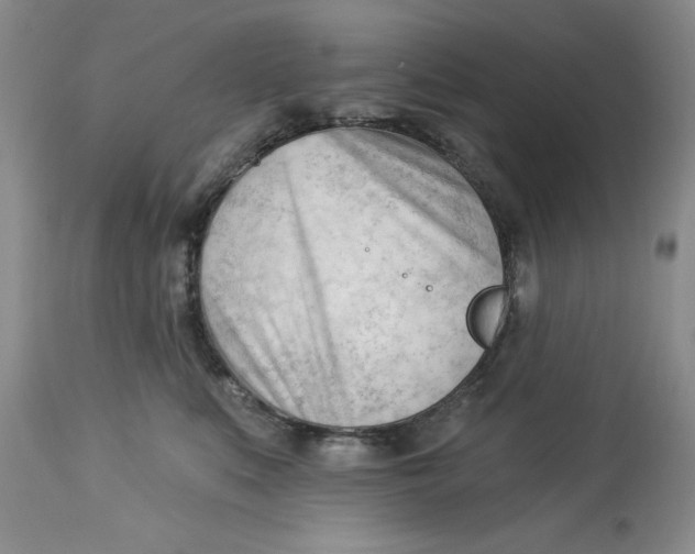 X0000113130519200909251243