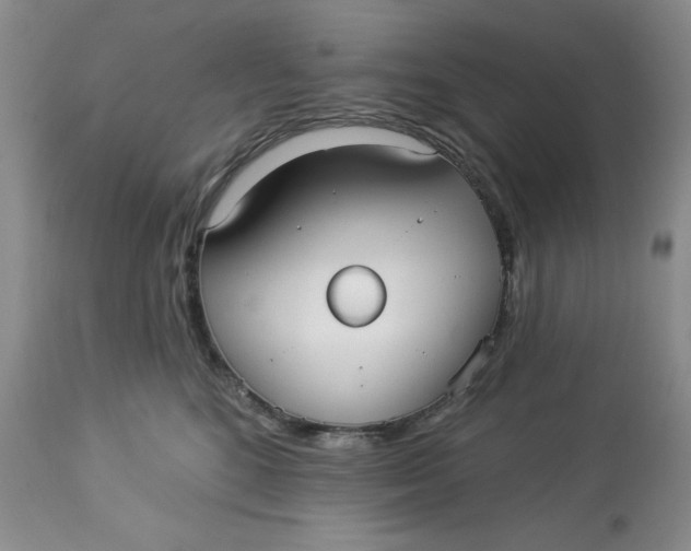 X0000113130520200909251243