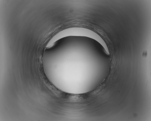 X0000113130521200909251243