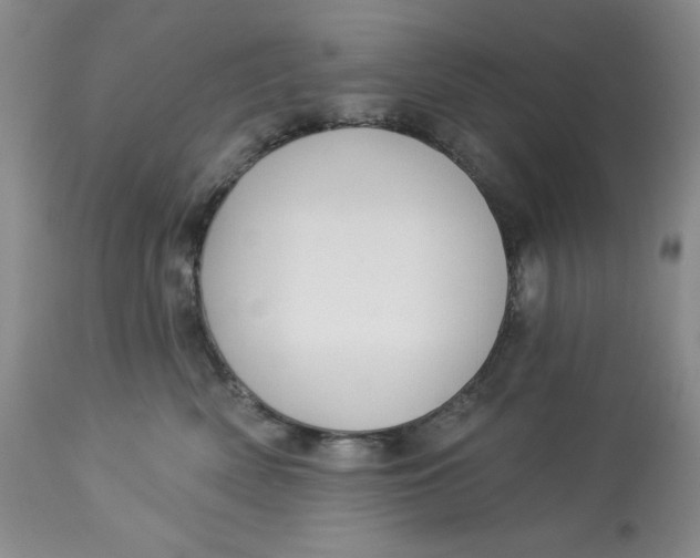 X0000113130522200909251243