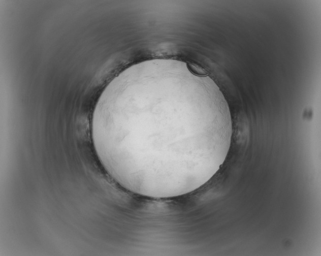 X0000113130523200909251243