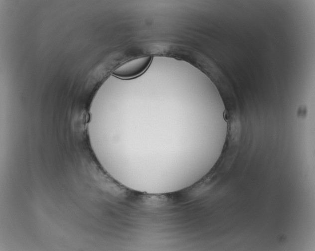 X0000113130525200909251243