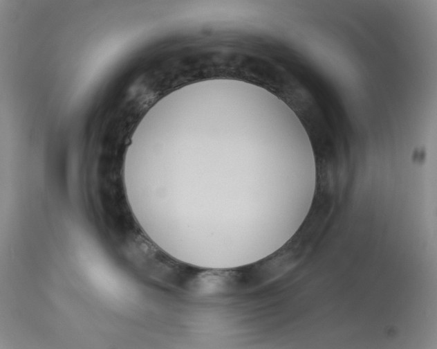 X0000113130526200909251243