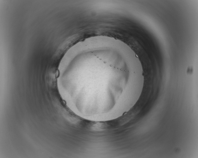 X0000113130527200909251242