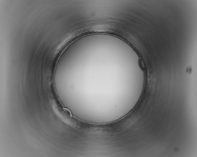 X0000113130530200909251242