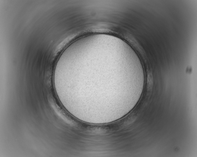 X0000113130533200909251242