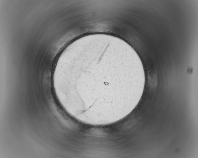 X0000113130534200909251242