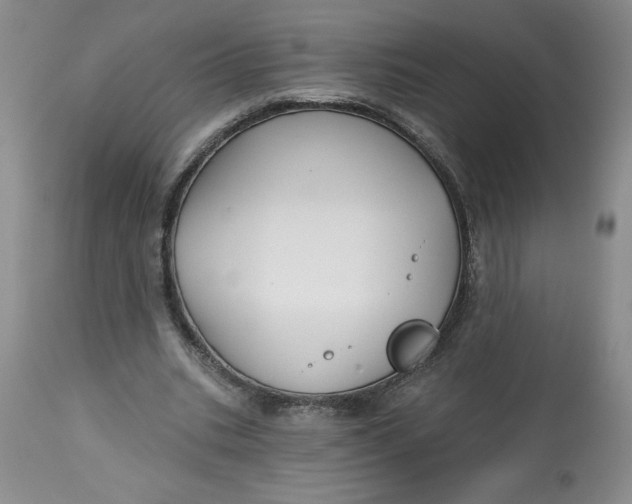 X0000113130535200909251242