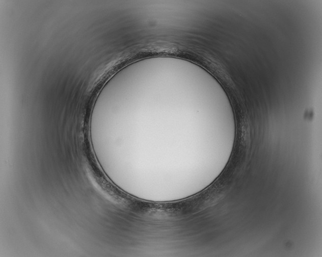 X0000113130538200909251242