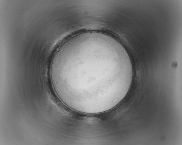 X0000113130539200909251242