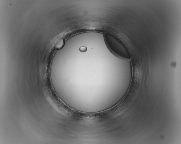 X0000113130540200909251242