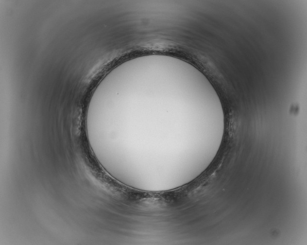 X0000113130544200909251242