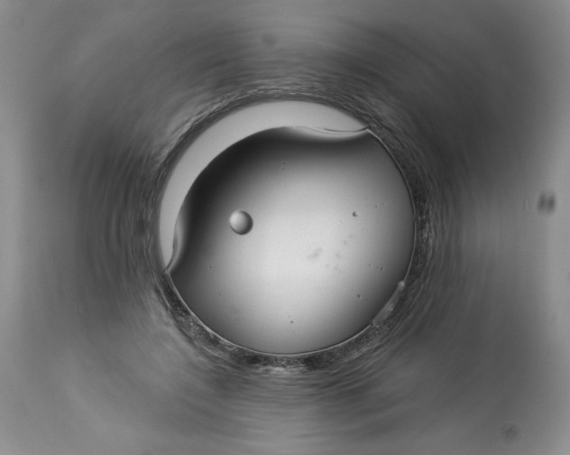 X0000113130548200909251242