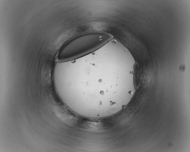 X0000113130552200909251242