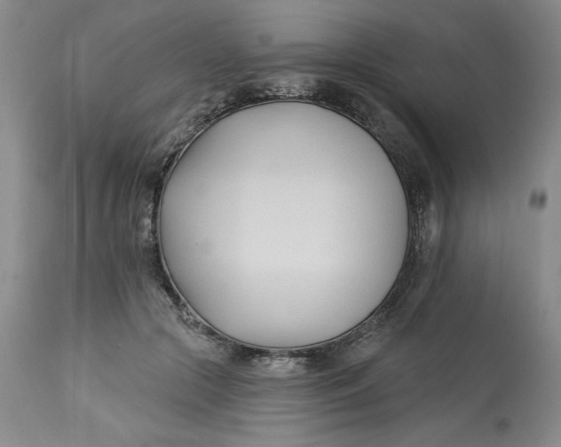 X0000113130553200909251242