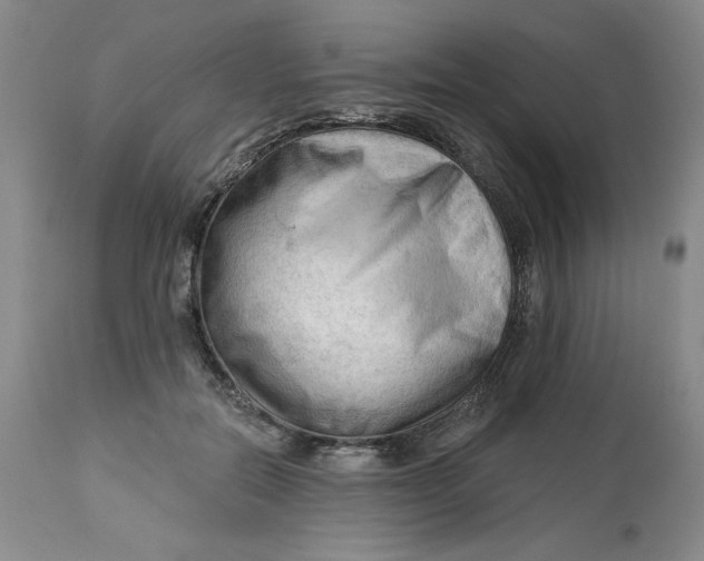 X0000113130554200909251242