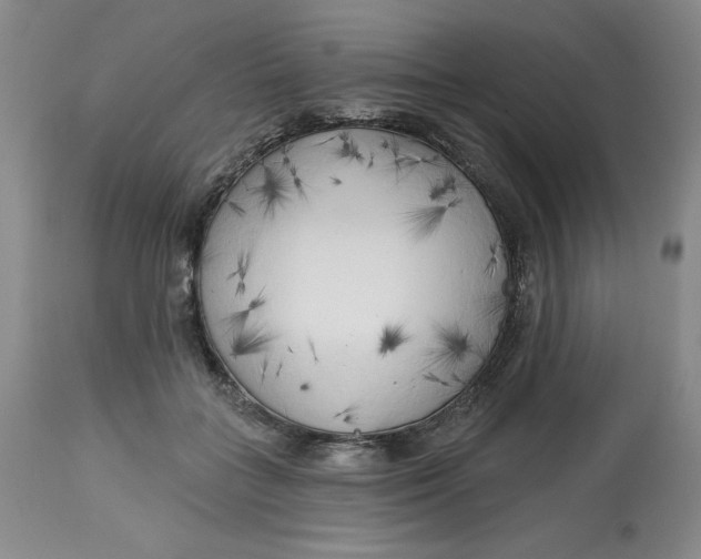 X0000113130555200909251242