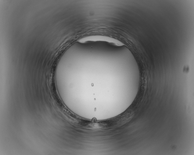 X0000113130558200909251242