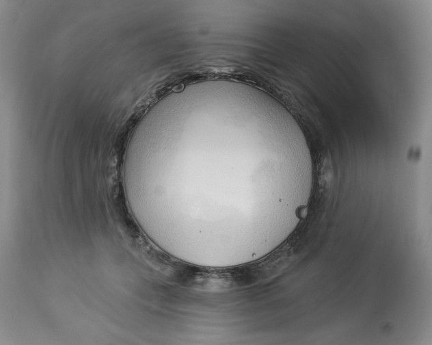 X0000113130559200909251242