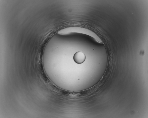 X0000113130560200909251242