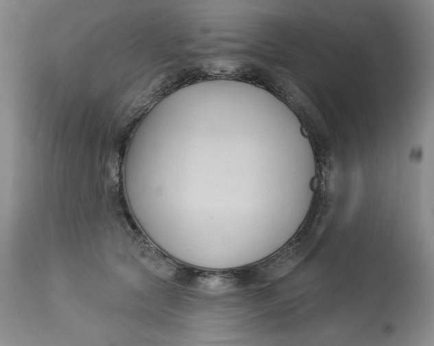 X0000113130561200909251242