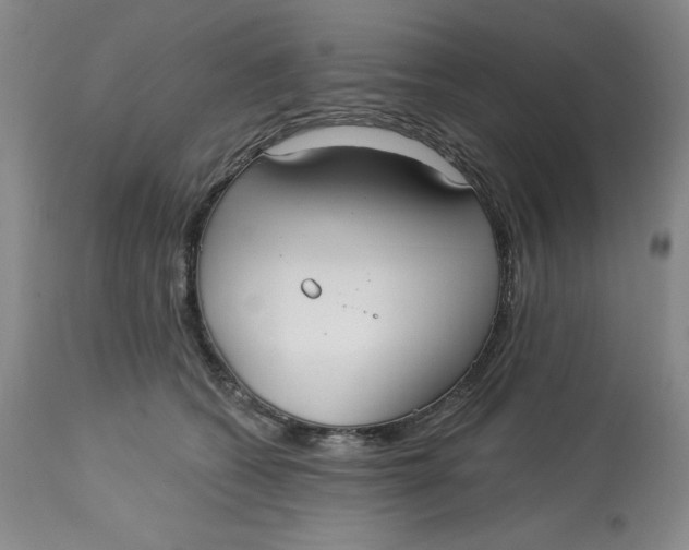 X0000113130562200909251242