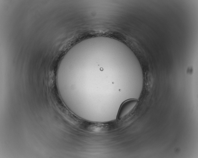 X0000113130563200909251242