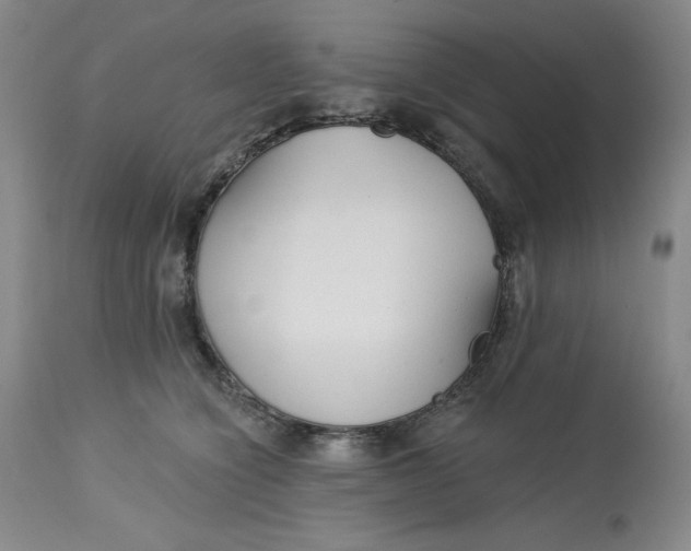 X0000113130564200909251242