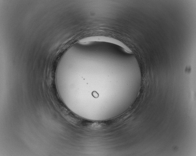 X0000113130566200909251242