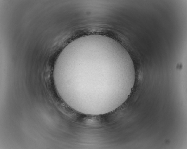 X0000113130567200909251242