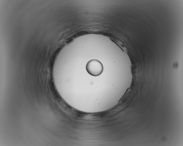 X0000113130568200909251242