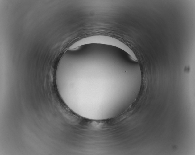 X0000113130570200909251242