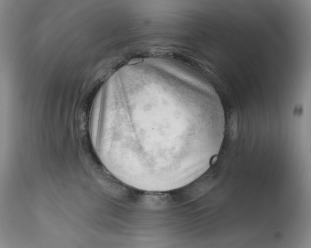 X0000113130571200909251242