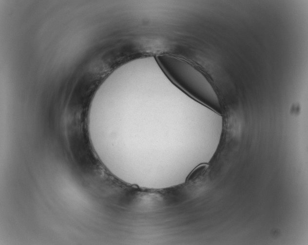 X0000113130572200909251242