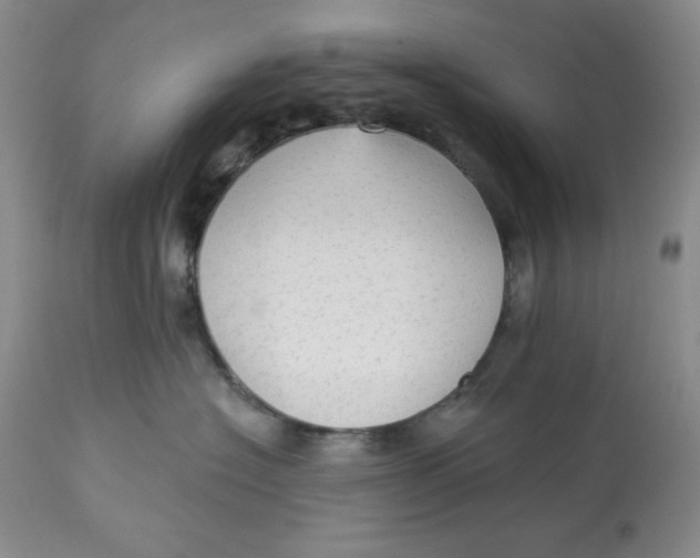 X0000113130574200909251242