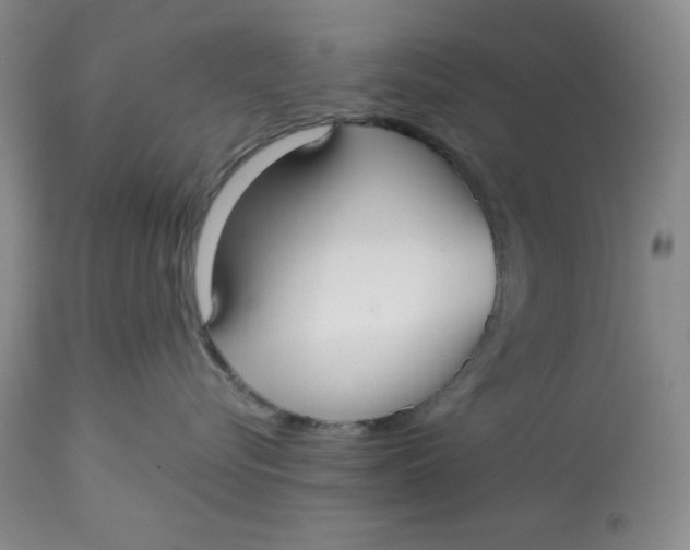 X0000113130576200909251242