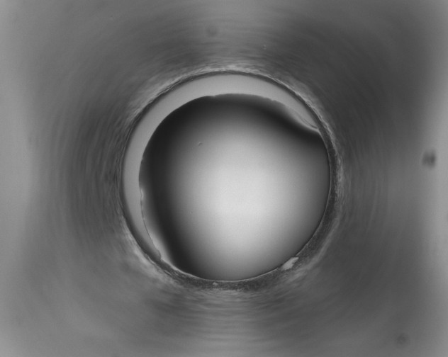 X0000113130577200909251242